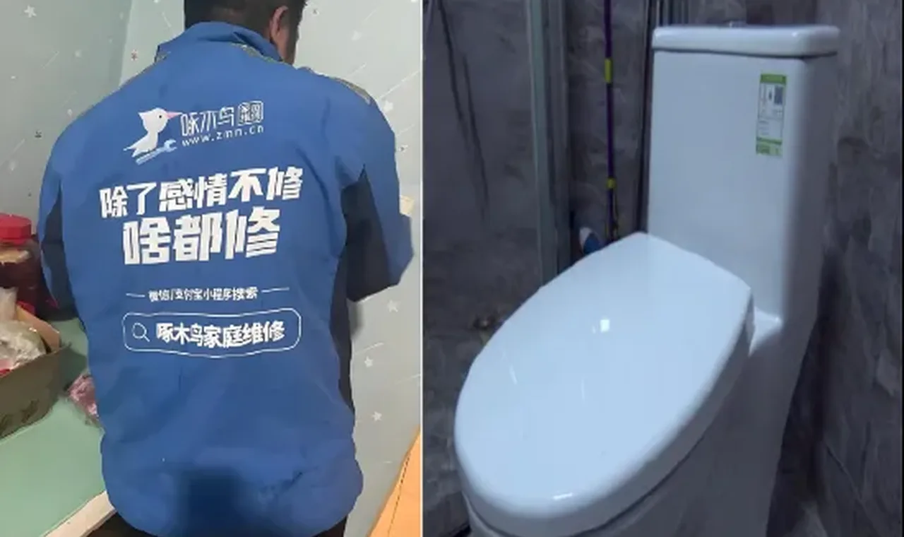 报价156元，实收1780元！ 啄木鸟维修“坑哭”女子，投诉量一年暴涨69%，董事长“明白消费”成笑话 插图